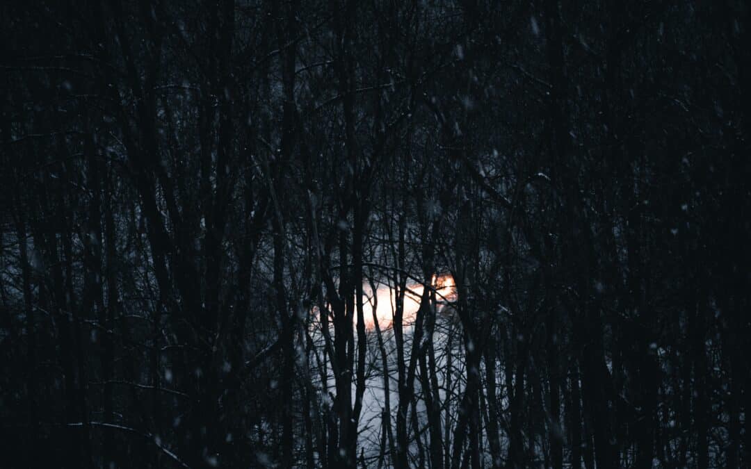 Samhain — Origins & Into the Woods at The Mandrake’s Halloween party