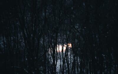 Samhain — Origins & Into the Woods at The Mandrake’s Halloween party